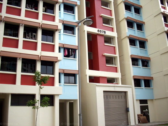 Jurong West Street 65 thumbnail photo